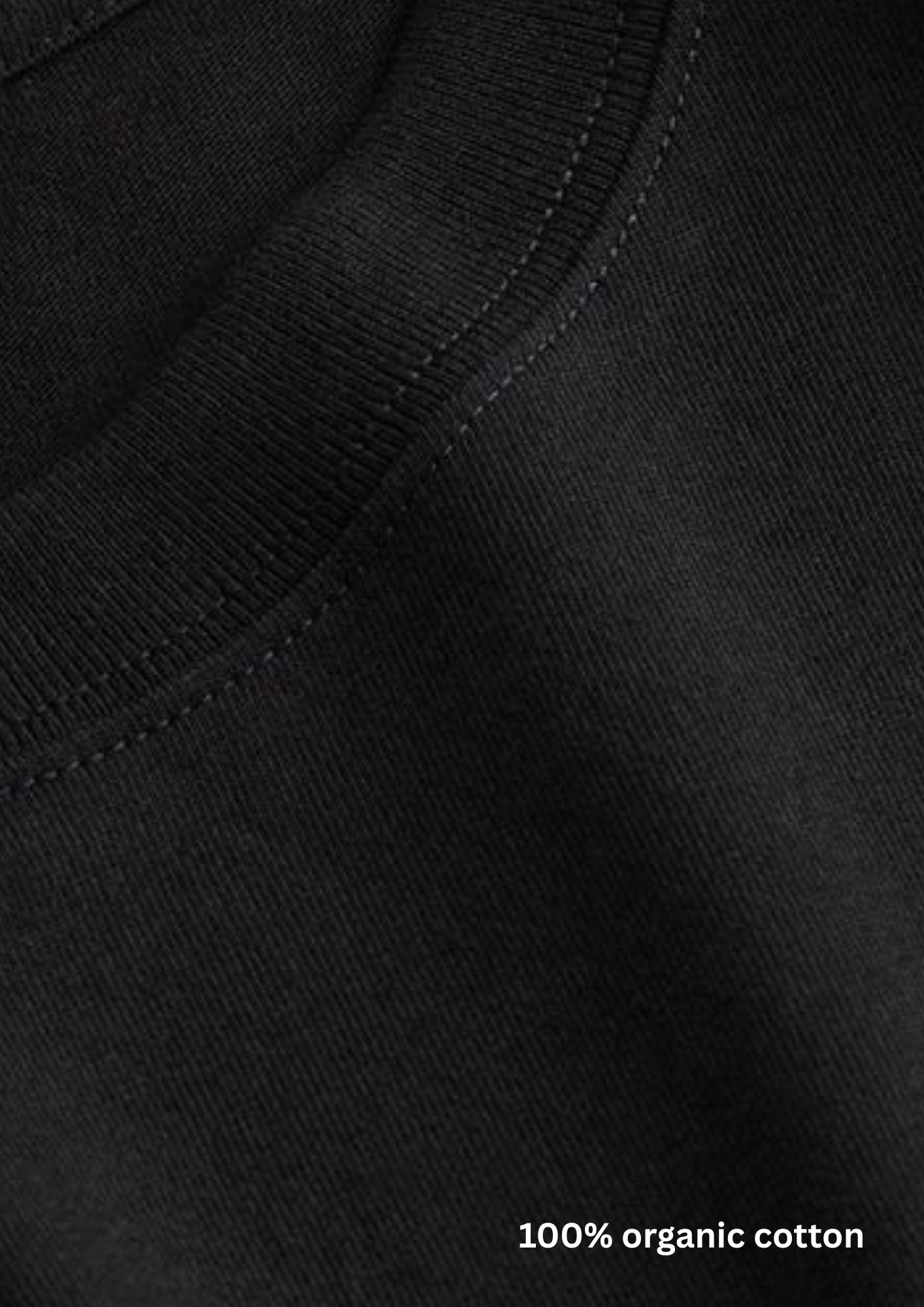 Never2Fly2Pray Tee (regular)