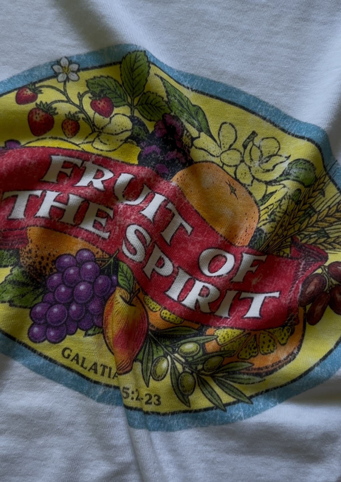 Fruit of Spirit Tee (baggy)