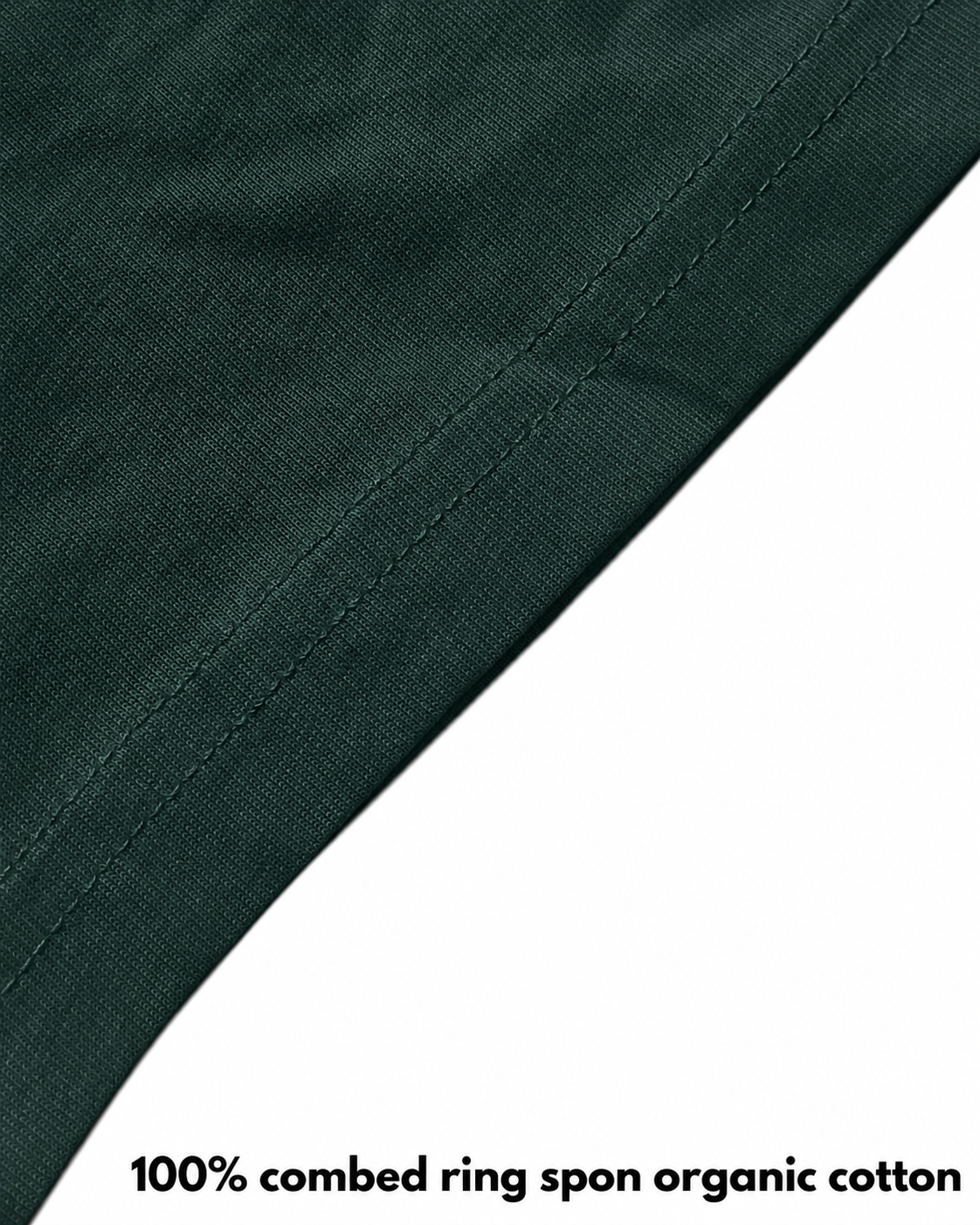 Genesis 3:6 Tee (regular)