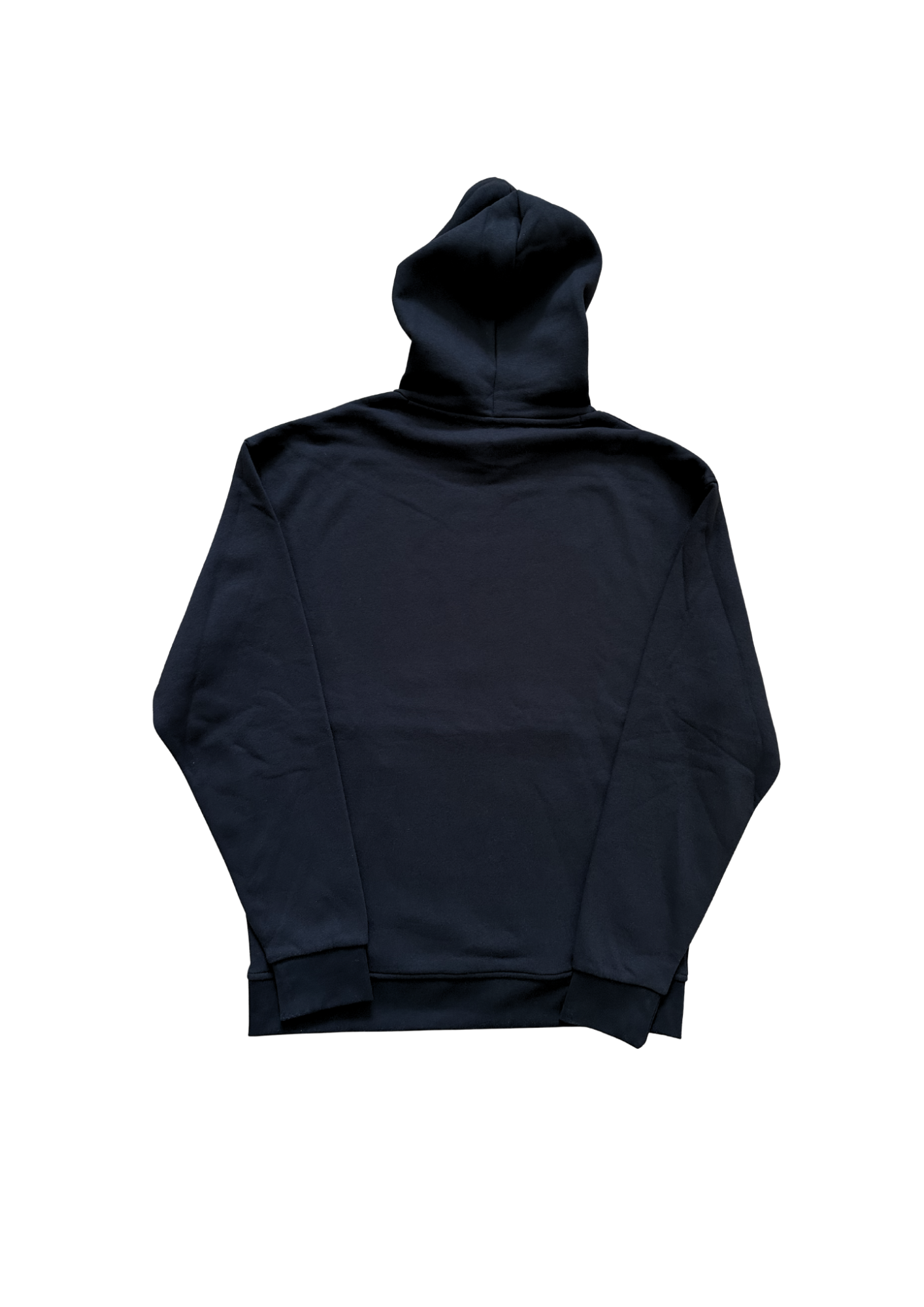 Never2Fly2Pray Hoodie (regular)